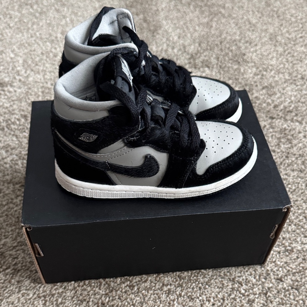 Jordan 1 Retro High OG (TD)